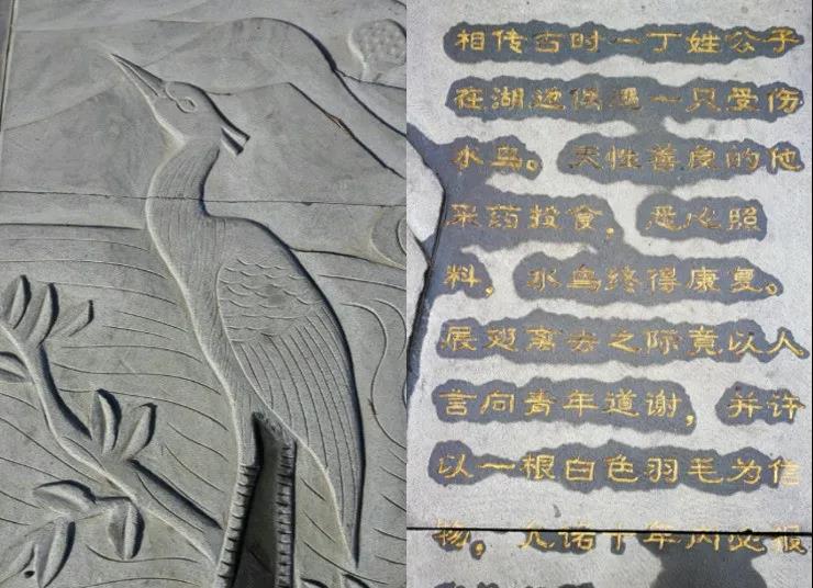 竞技宝官网