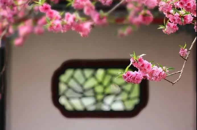 竞技宝官网